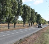 Уважаемые работники и ветераны дорожного хозяйства!